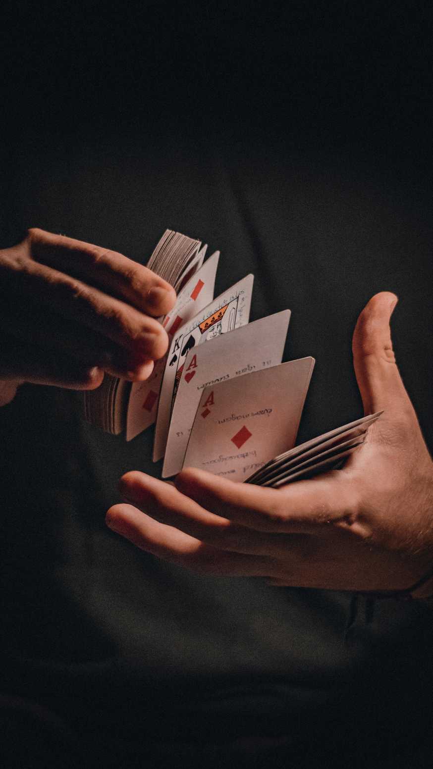 harry casino login